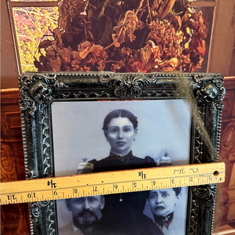 Faux Vintage Ornate Silver Photo Frame Lenticular Changing Spooky Halloween Gag - Picture 7 of 10